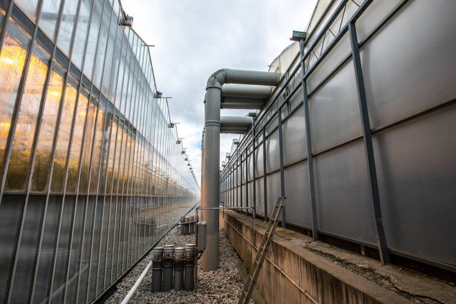 Ducts carrying heat to a green house